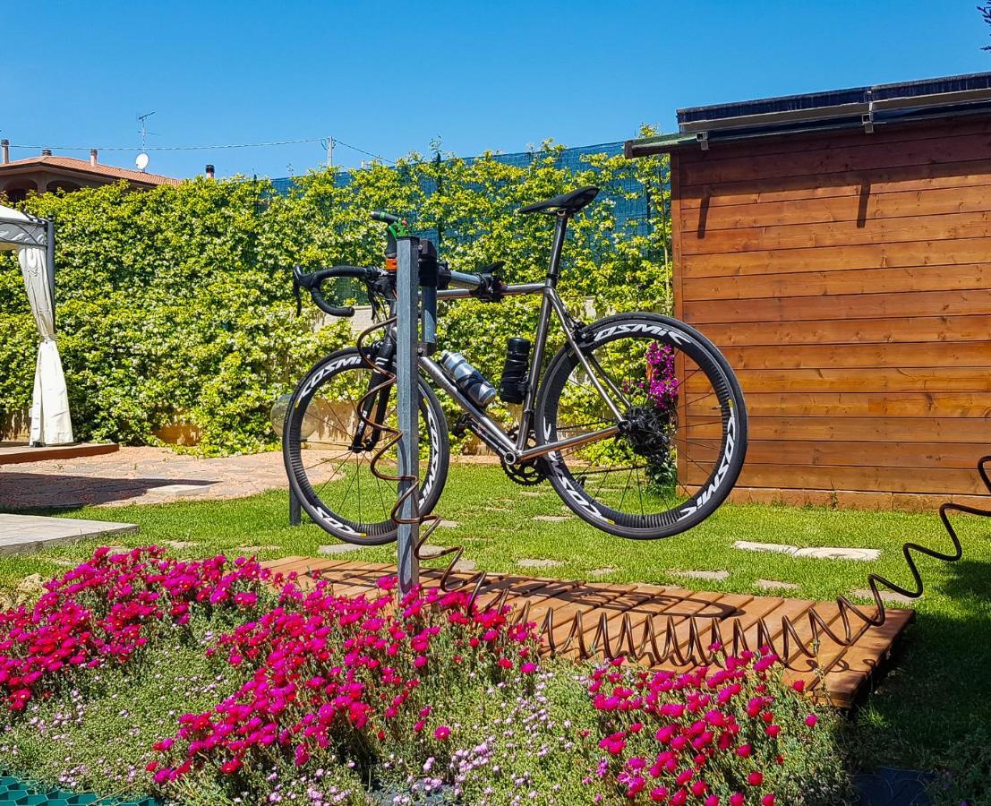 La Mimosa - Bike Friendly Home Rosignano Solvay Exteriör bild